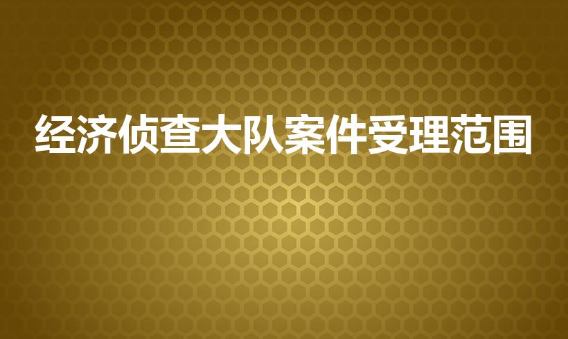 经济侦查大队案件受理范围（经侦大队立案范围）