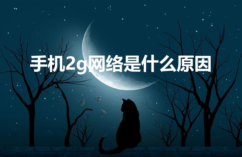 手机2g网络是什么原因（手机只显示2G信号怎么回事）