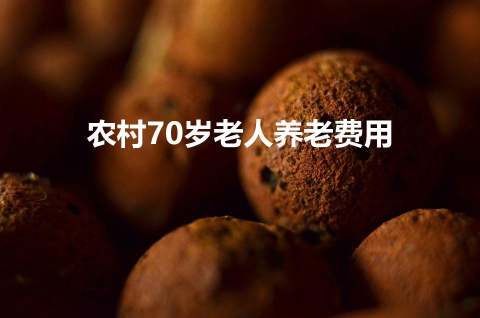 农村70岁老人养老费用