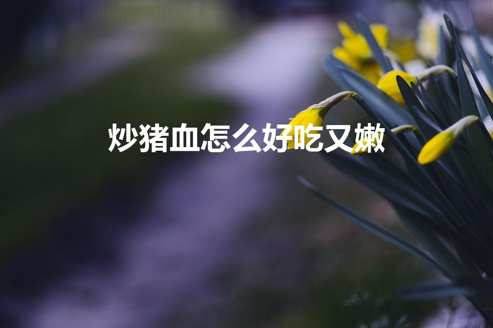炒猪血怎么好吃又嫩（猪血怎么炒又嫩又好吃）