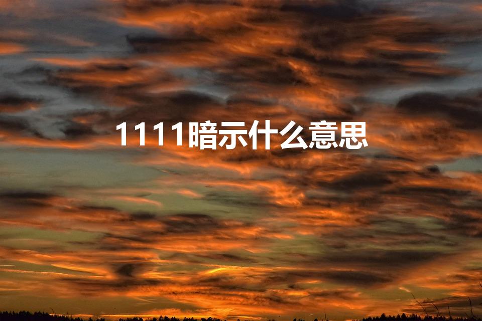 1111暗示什么意思（聊天时说1111是什么意思）