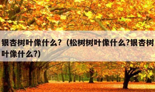 银杏树叶像什么?？松树树叶像什么?银杏树叶像什么?