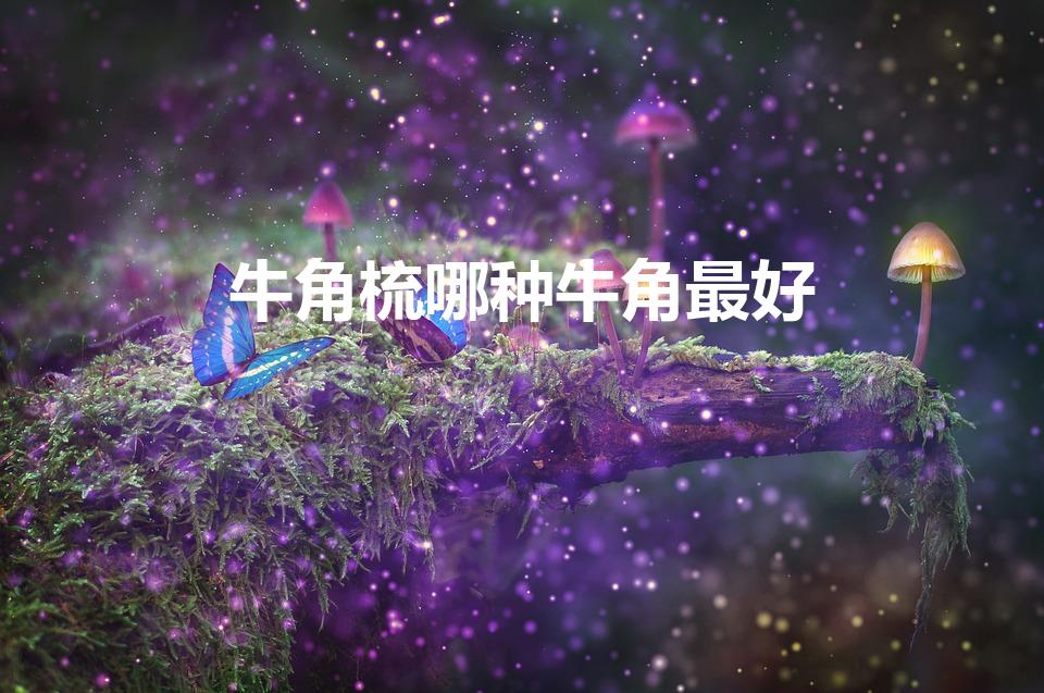 牛角梳哪种牛角最好（哪种材质的牛角梳好呢）