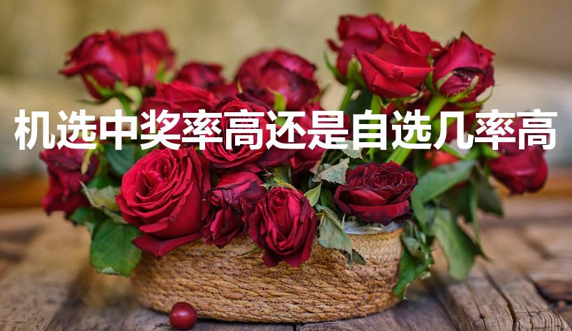 机选中奖率高还是自选几率高（机选和自选哪个中奖机会大）