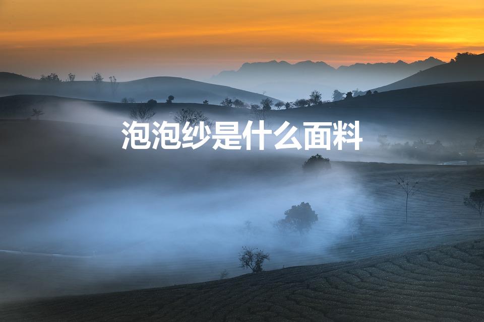 泡泡纱是什么面料（泡泡布是什么面料）