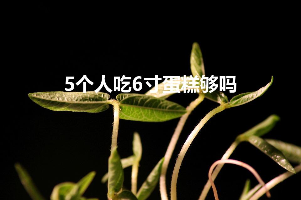 5个人吃6寸蛋糕够吗（6寸蛋糕5个人吃行么）