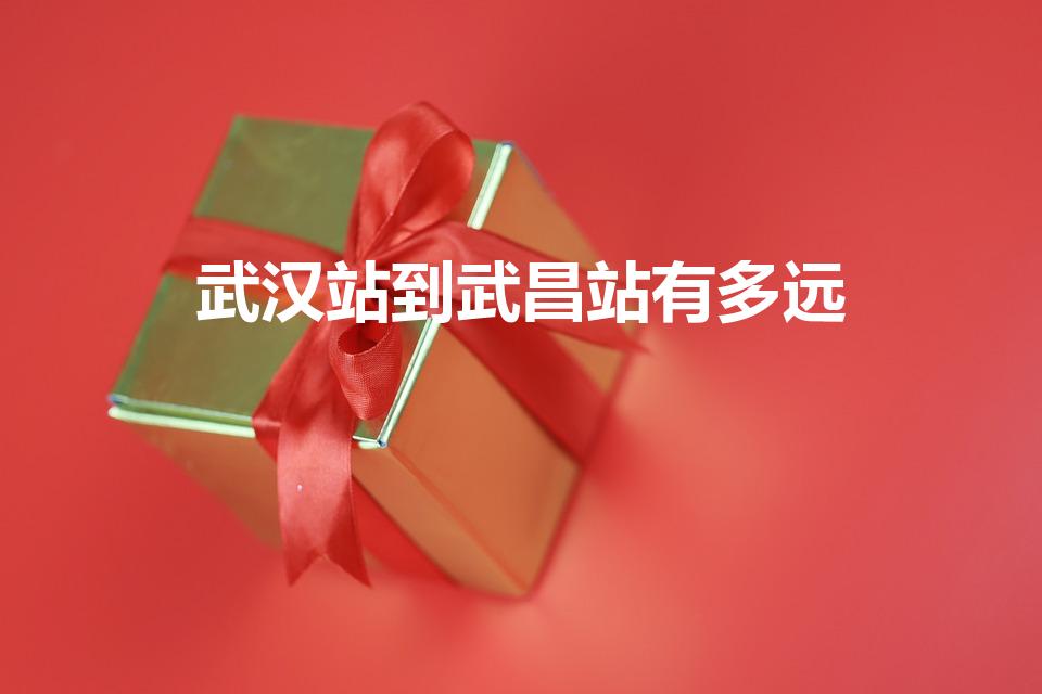 武汉站到武昌站有多远（武昌站到武汉站有多远）