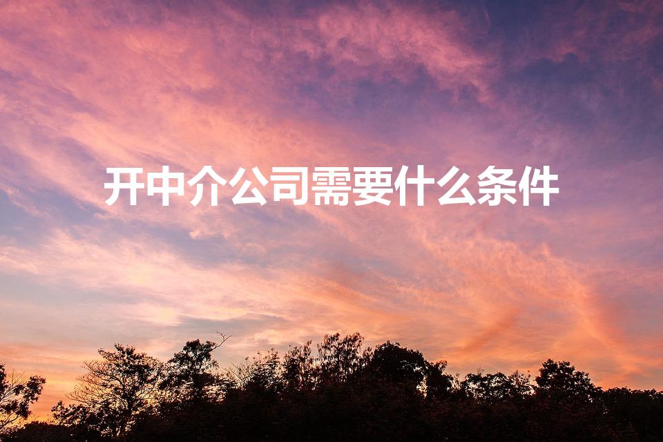 开中介公司需要什么条件（中介公司注册条件）