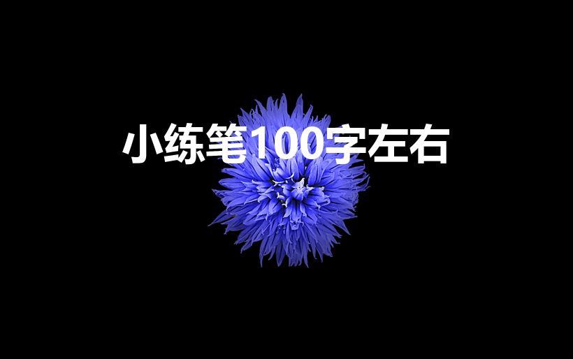 小练笔100字左右（小练笔100字）