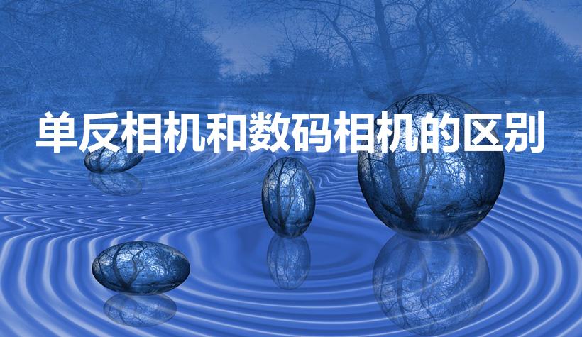 单反相机和数码相机的区别（数码相机和单反有什么区别）