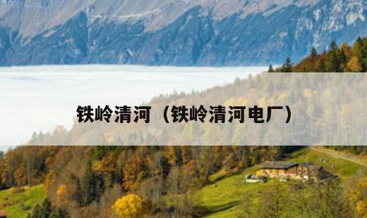 铁岭市清河区哪里有回民火勺店？