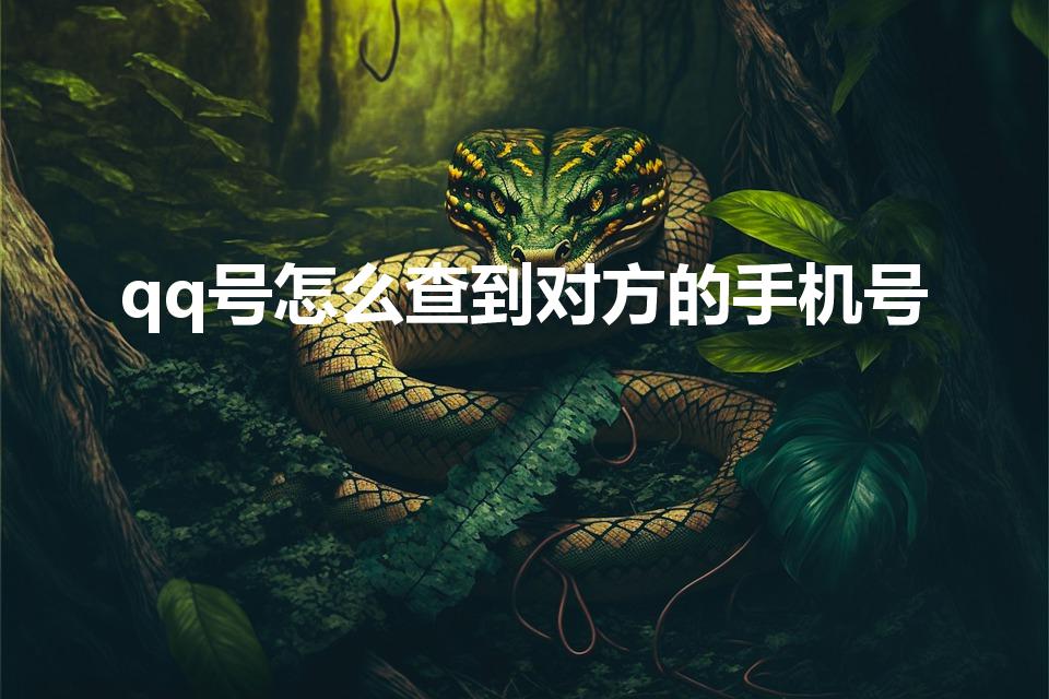 qq号怎么查到对方的手机号（qq手机通讯录怎么查看）