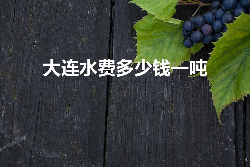 大连水费多少钱一吨（水费收费标准2022）