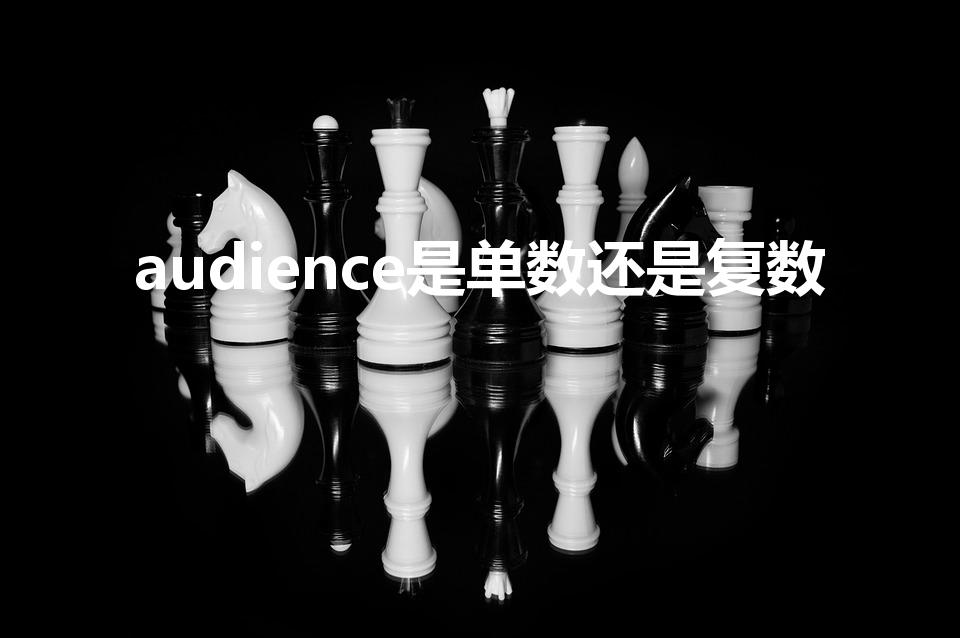 audience是单数还是复数