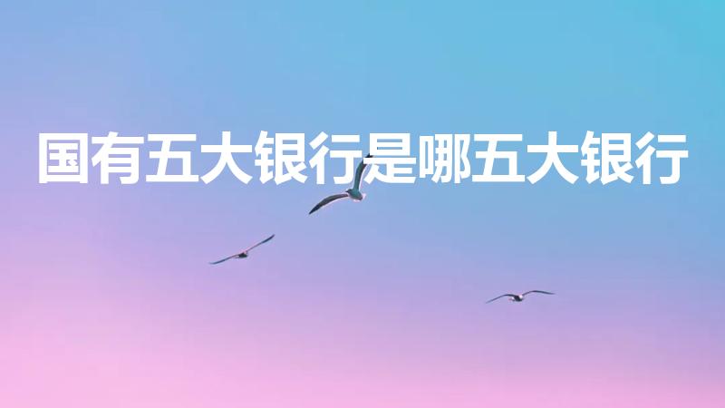 国有五大银行是哪五大银行（中国五大银行是哪五大）