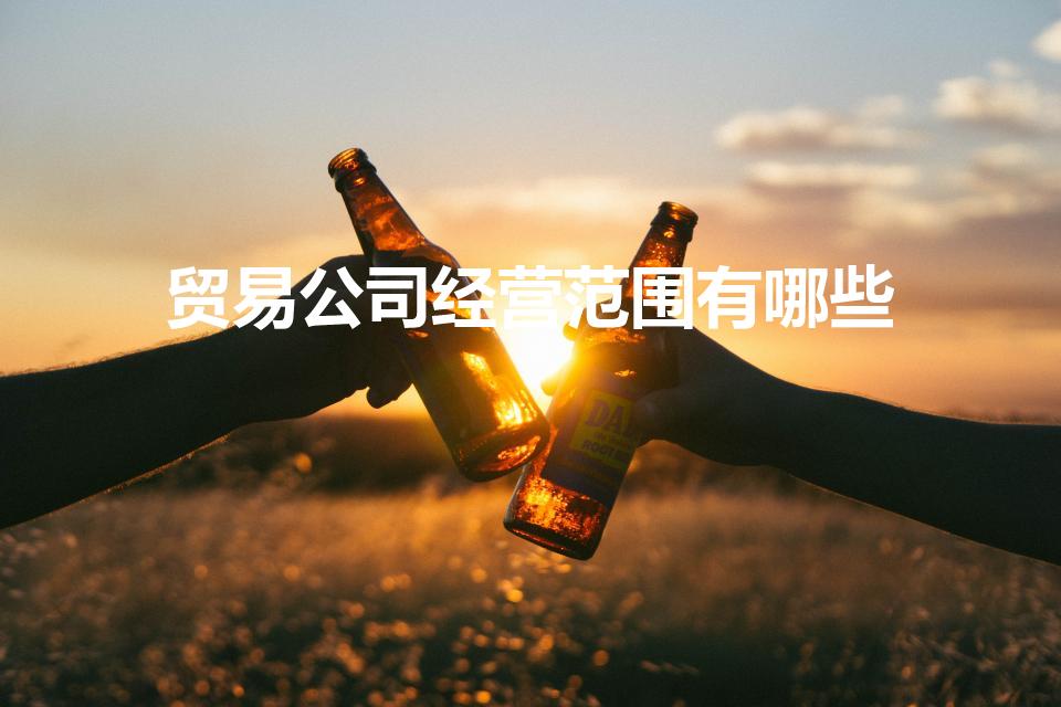 贸易公司经营范围有哪些（贸易公司经营范围）