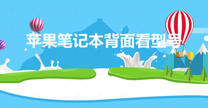 苹果笔记本背面看型号（苹果笔记本电脑后面可以看出型号吗）