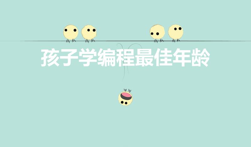 孩子学编程最佳年龄（编程一般几岁开始学）