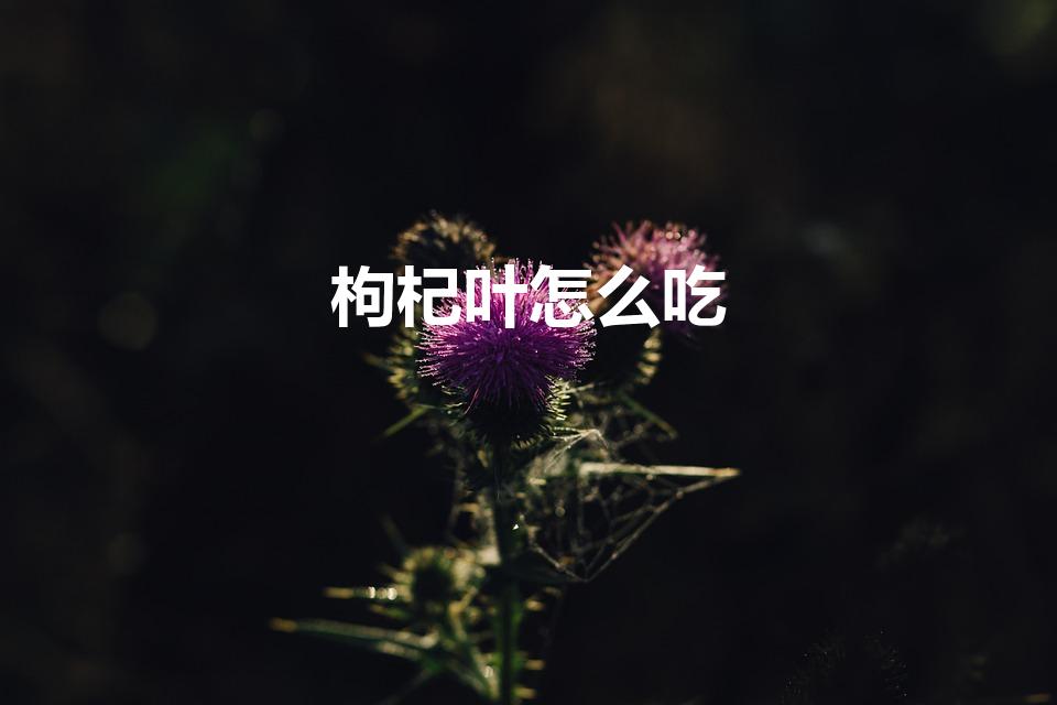 枸杞叶怎么吃（枸杞叶怎么做好吃）