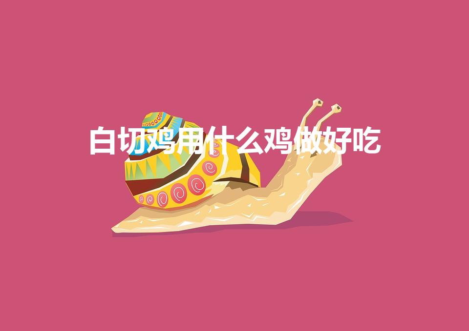 白切鸡用什么鸡做好吃（白切鸡选用什么鸡）