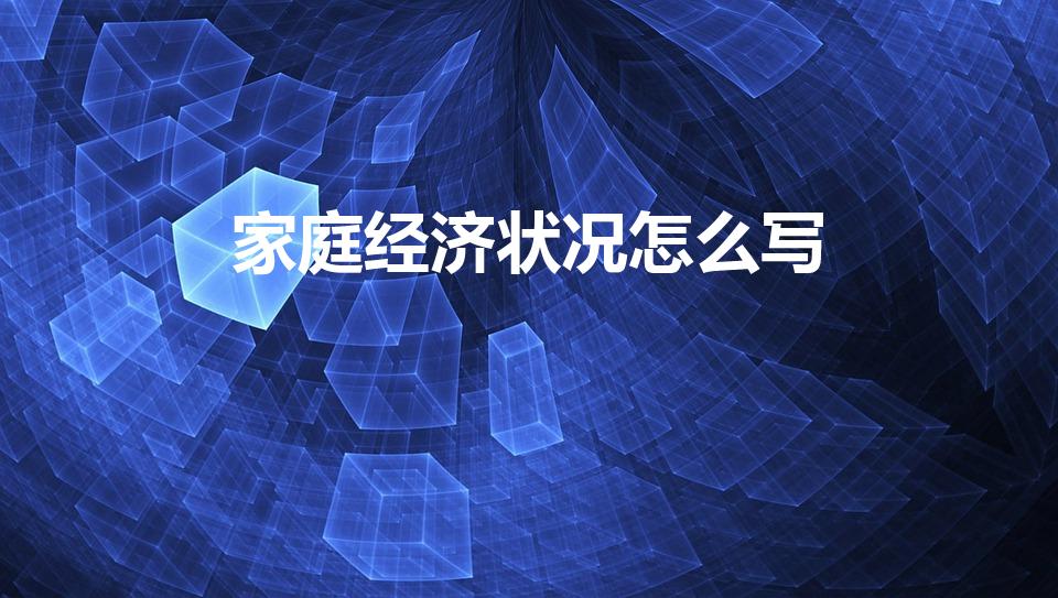 家庭经济状况怎么写（家庭经济情况怎么写）
