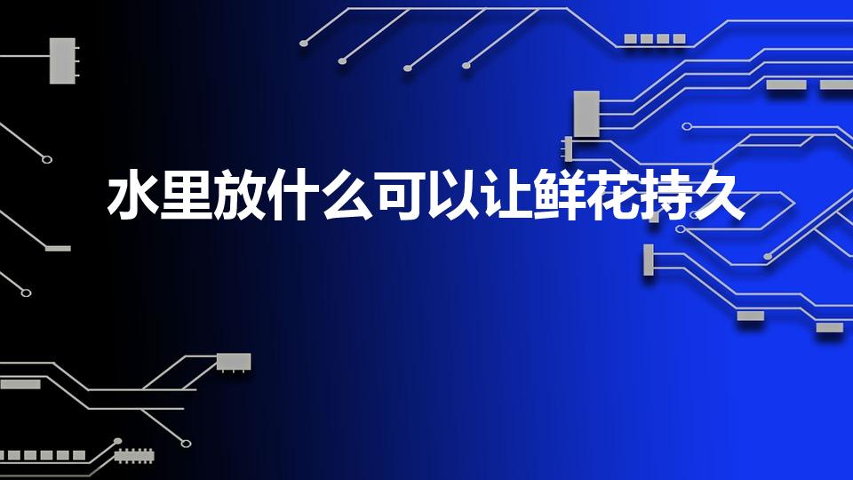 水里放什么可以让鲜花持久