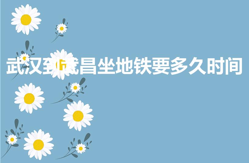 武汉到武昌坐地铁要多久时间（武汉站到武昌站地铁需要多久）