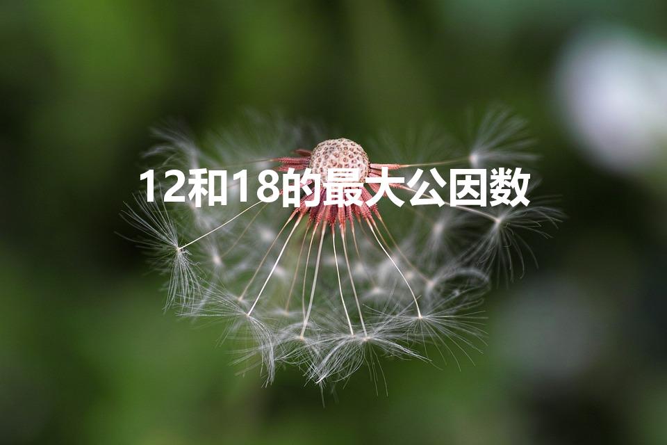 12和18的最大公因数（十二和十八最大的公因数是什么）