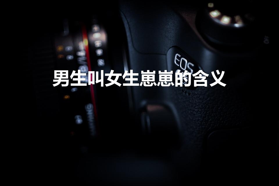 男生叫女生崽崽的含义