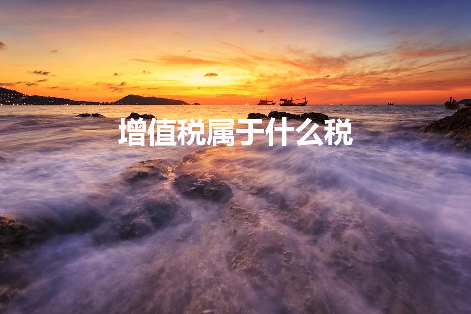增值税属于什么税（增值税是一种什么税）