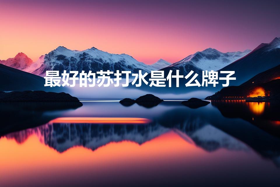 最好的苏打水是什么牌子（世界十大苏打水品牌）
