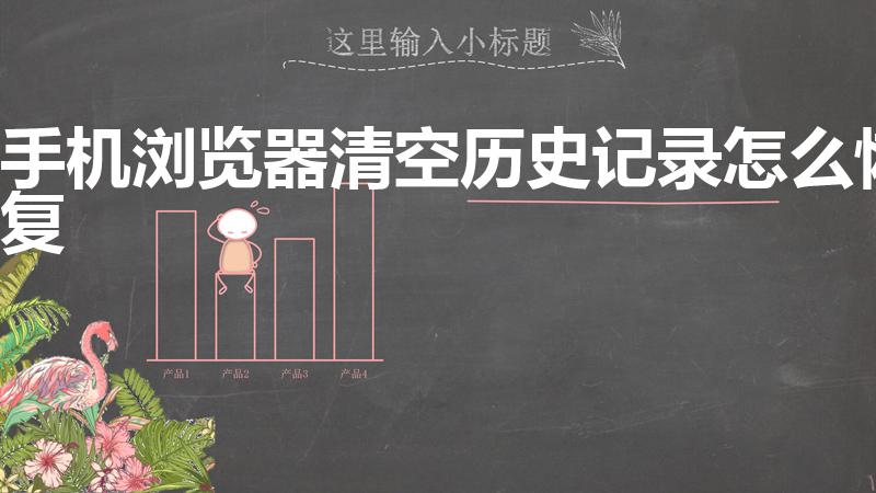 手机浏览器清空历史记录怎么恢复（怎么恢复删除的历史记录）