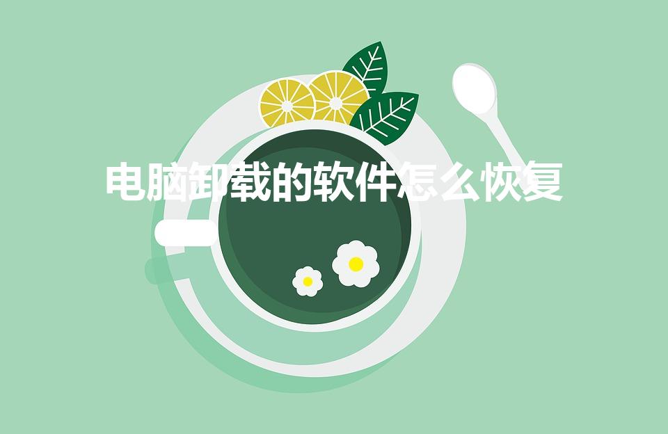 电脑卸载的软件怎么恢复（电脑不小心把软件卸载了怎么恢复）