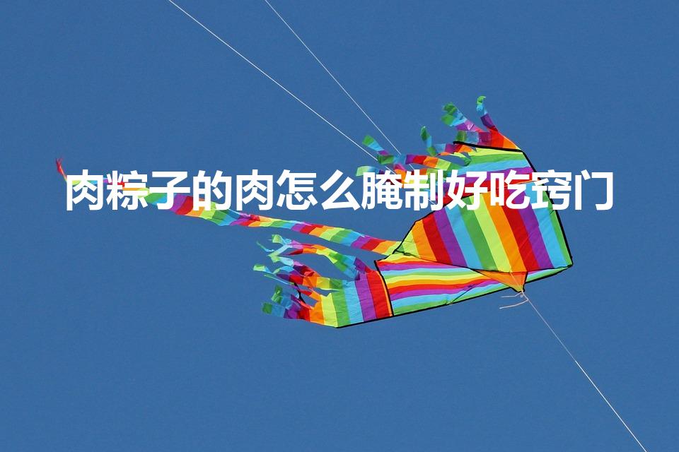 肉粽子的肉怎么腌制好吃窍门（肉粽子的肉怎么腌制好吃）