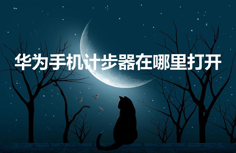 华为手机计步器在哪里打开（华为手机如何开启计步器）