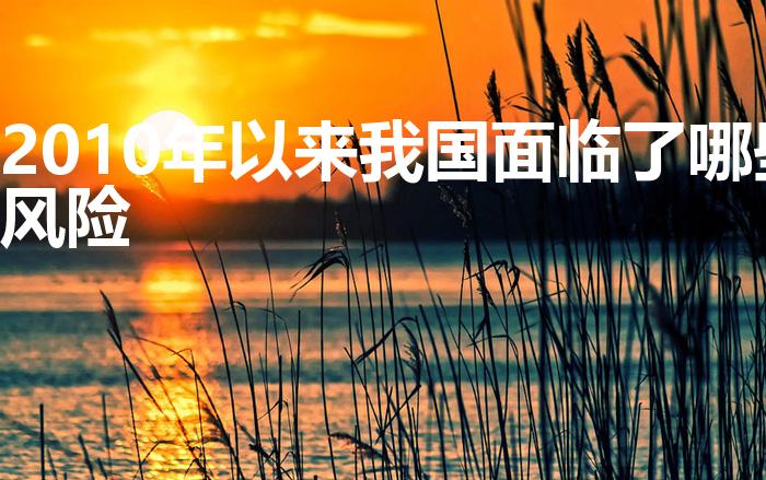2010年以来我国面临了哪些风险（我国面临哪些风险挑战）