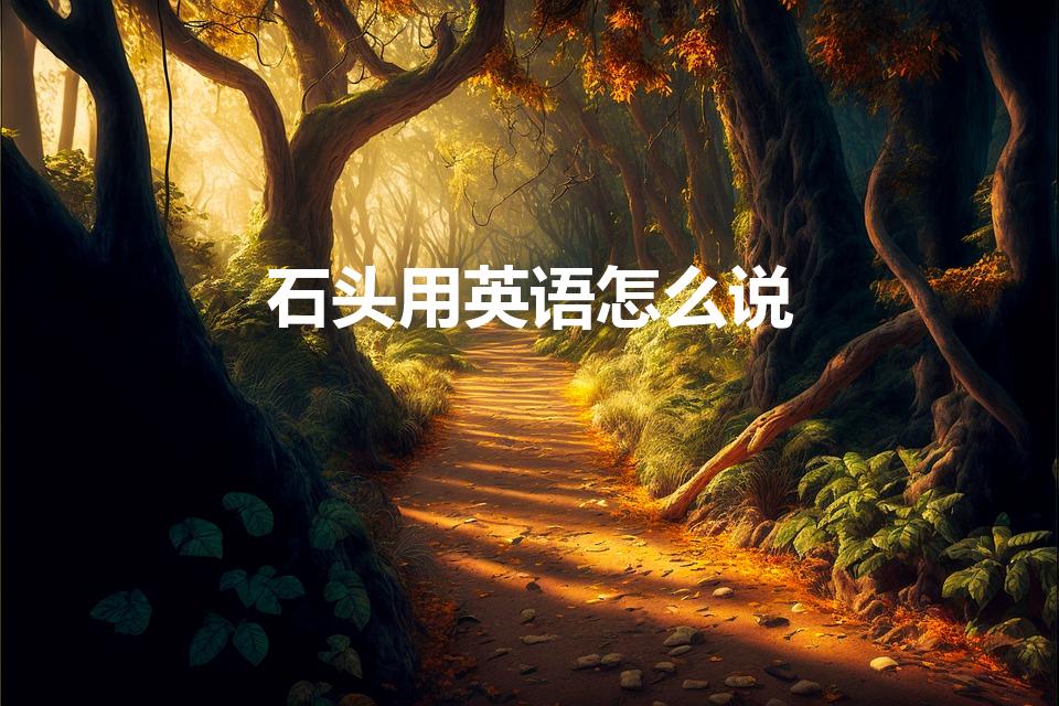 石头用英语怎么说(石头英文怎么读音)