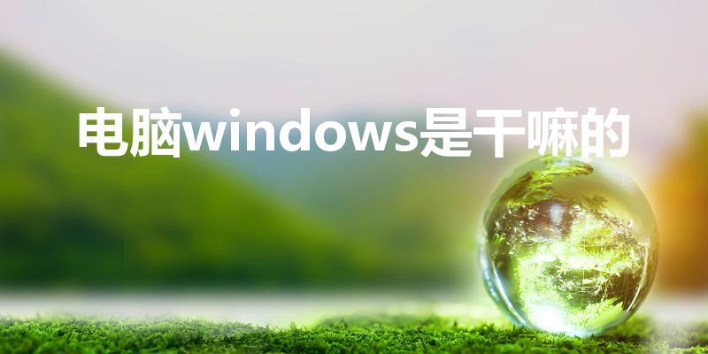 电脑windows是干嘛的（微软是干什么的）