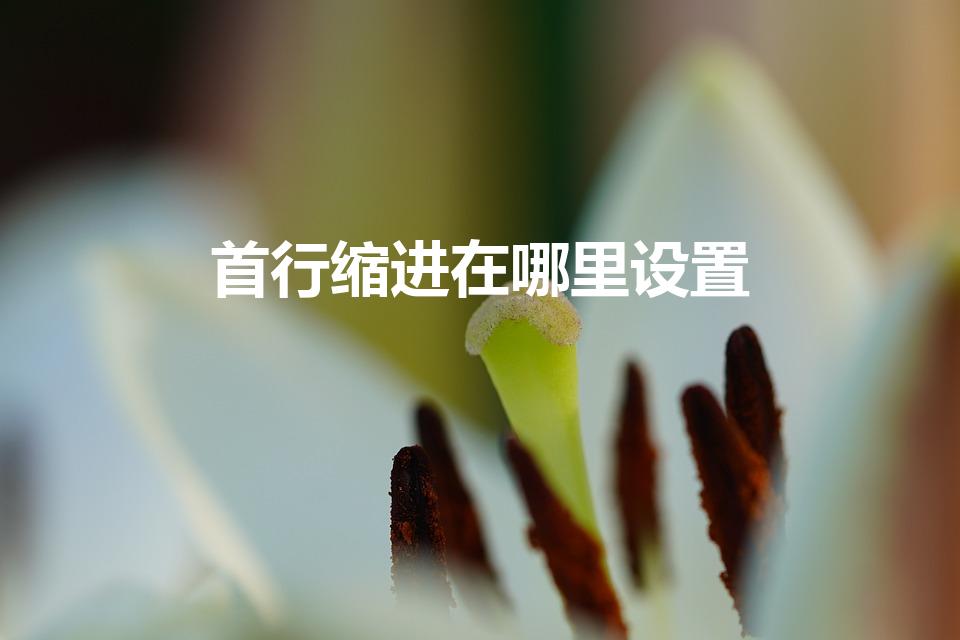 首行缩进在哪里设置（word首行缩进怎么设置）