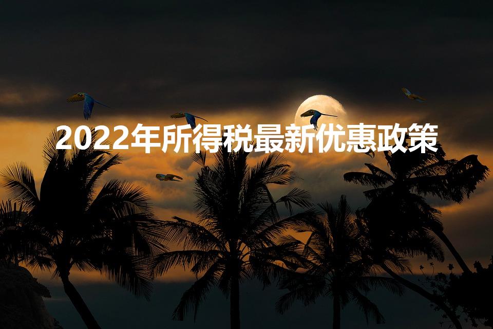 2022年所得税最新优惠政策
