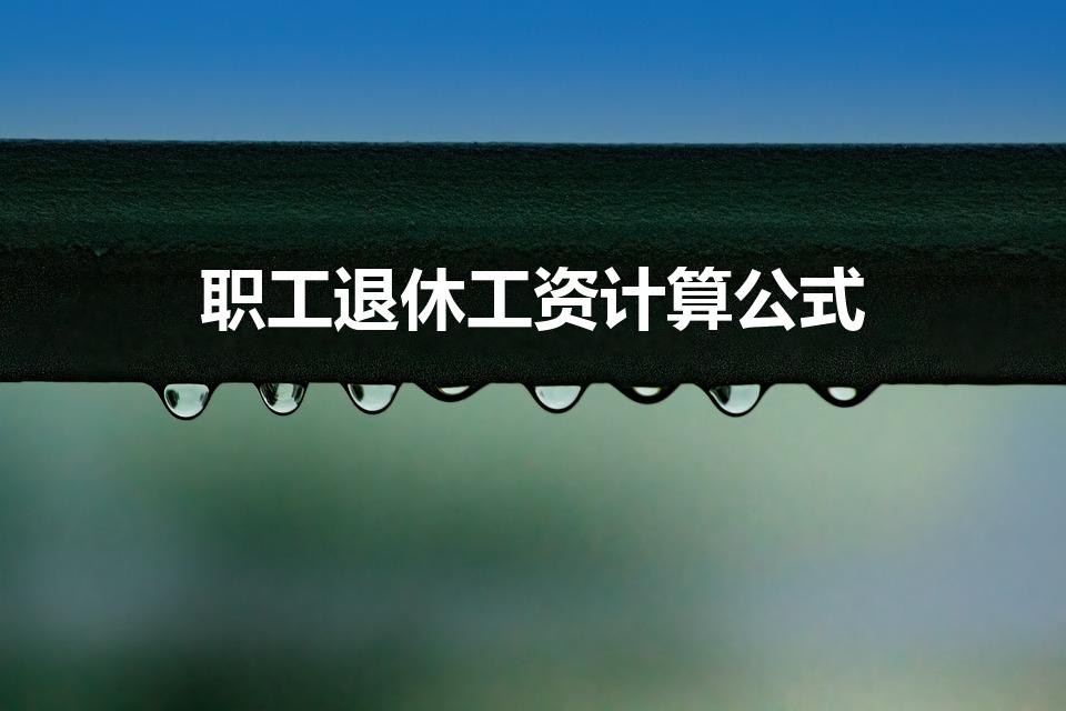 职工退休工资计算公式（社保退休工资计算公式是什么）