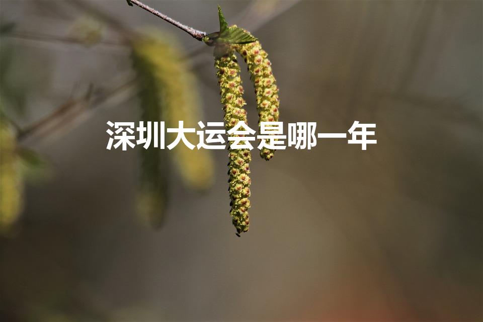 深圳大运会是哪一年（深圳世界大学生运会什么时间）