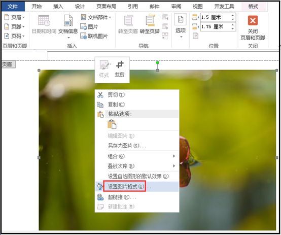 word背景颜色怎么设置(封面图片怎么铺满整个页面)