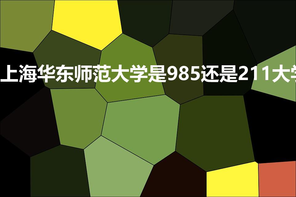 上海华东师范大学是985还是211大学