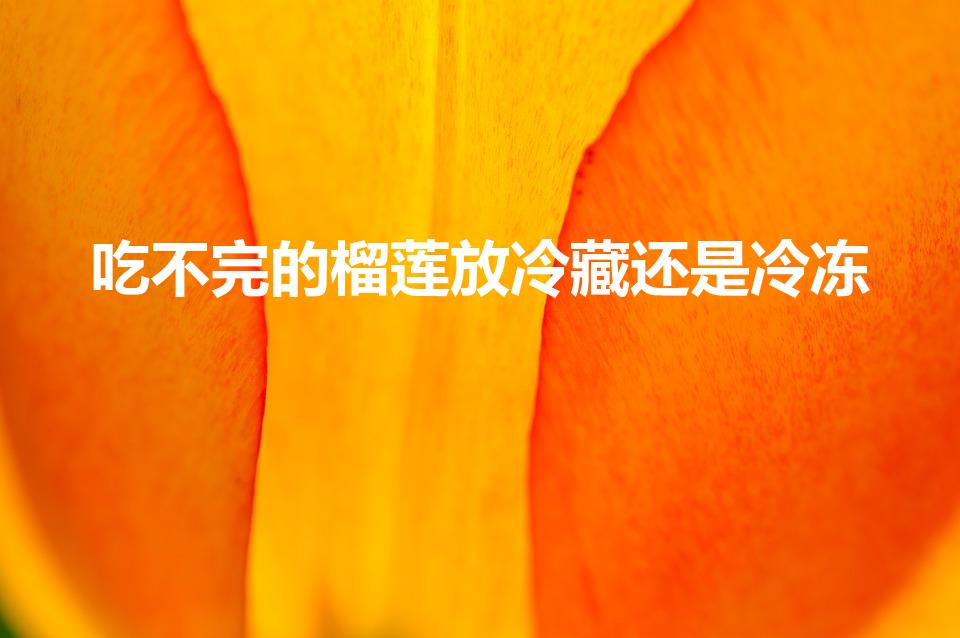 吃不完的榴莲放冷藏还是冷冻（榴莲第二天吃放冷藏还是冷冻）