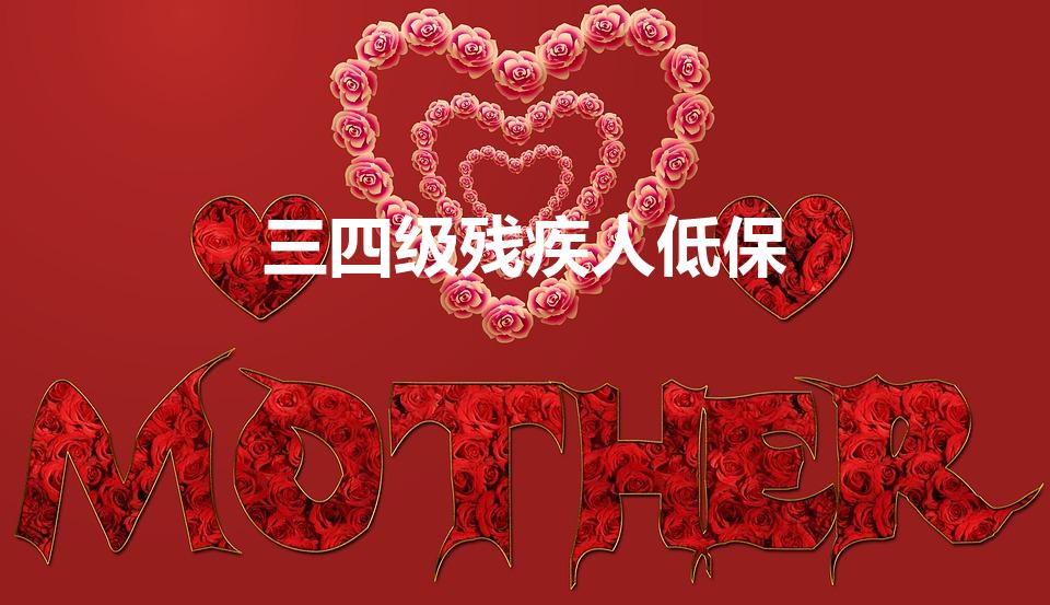 三四级残疾人低保（一二三四残疾补贴标准）