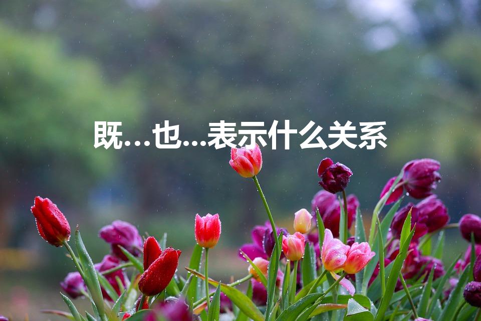 既…也...表示什么关系（既…也是什么关系的关联词）