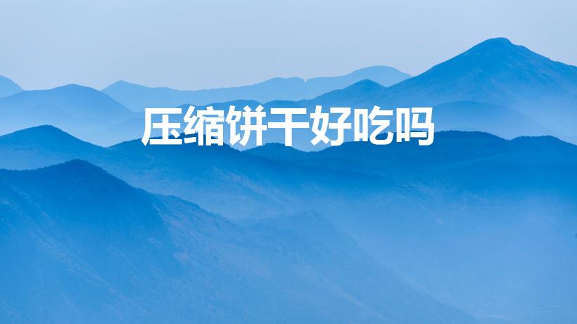 压缩饼干好吃吗（压缩饼干哪种好吃）