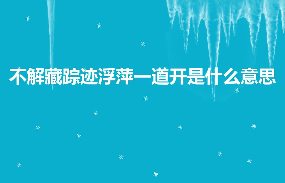 不解藏踪迹浮萍一道开是什么意思