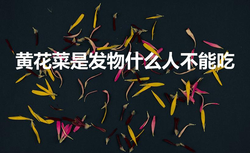 黄花菜是发物什么人不能吃（哪些人不能吃黄花菜）